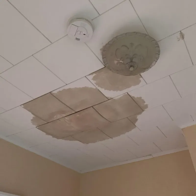 Ceiling Water Damage Repair in Kountze, TX