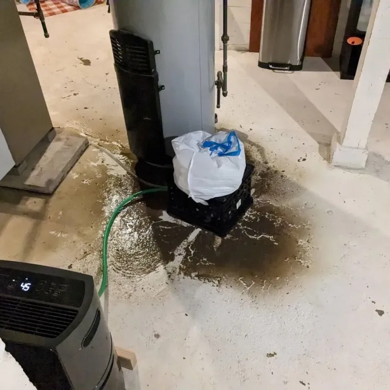 Sewage Backup Cleanup Service in Kountze, TX